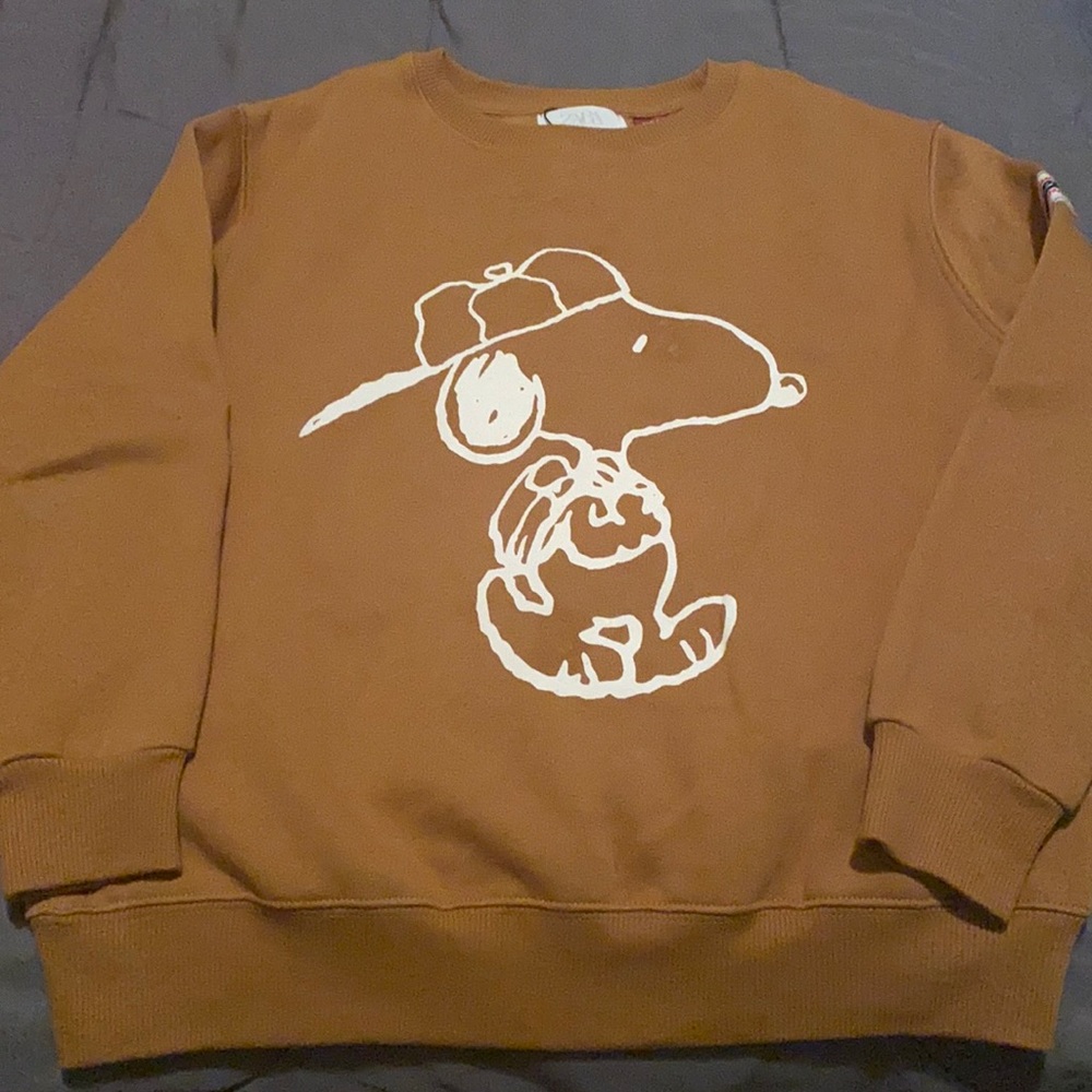 Boys Zara Snoopy Sweater